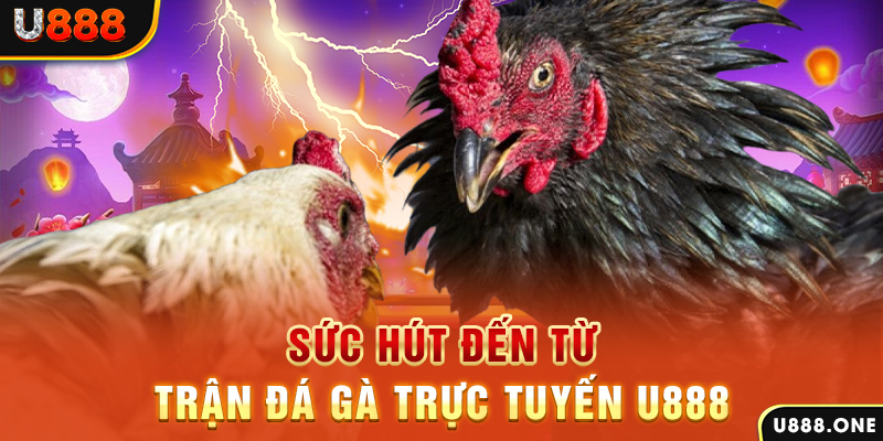 33win33 đá gà trực tiếp c1