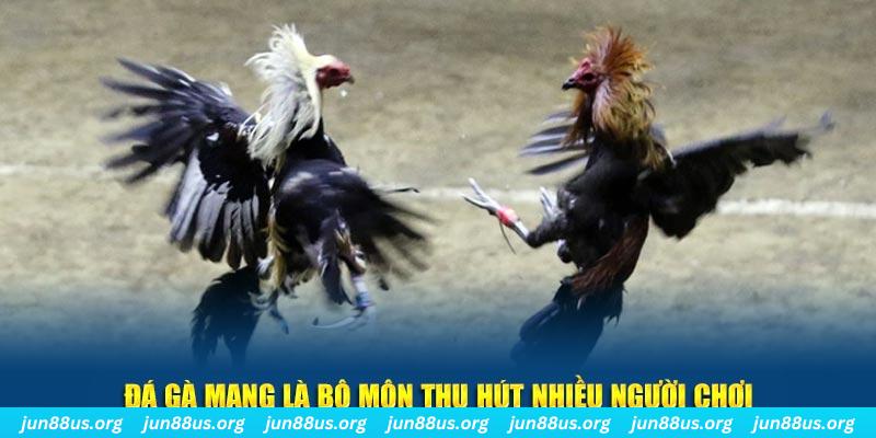 33win33 bắn cá au88