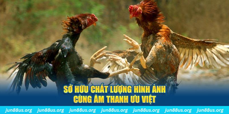 33win33 PP Điện Tử