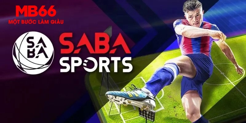 game máy bay cá cược