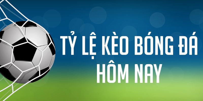 33win33 gà chọi c1 mới nhất