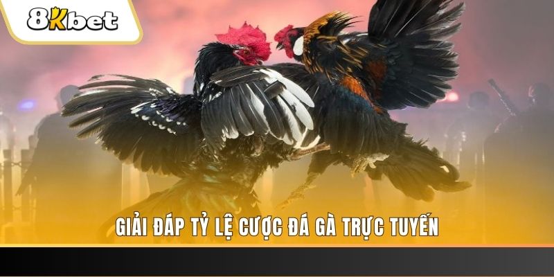 33win33 xổ số đài miền trung