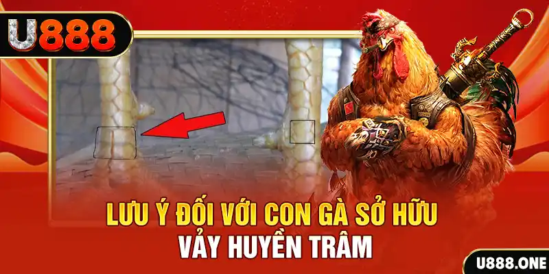 33win33 kết quả xổ số miền nam hôm nay