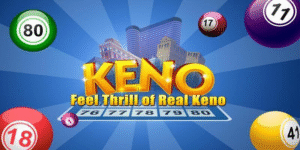 33win33 gà chọi c1 thomo