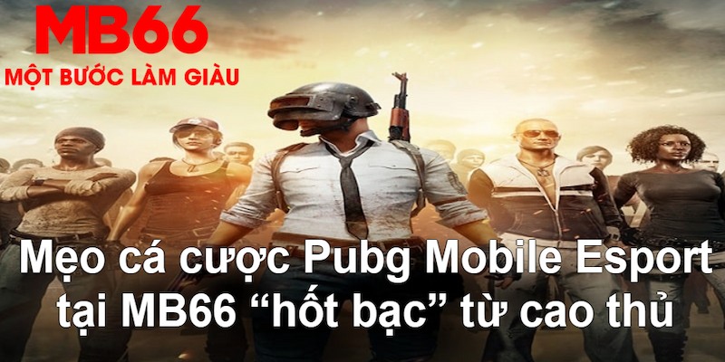 33win33 VA Bắn cá