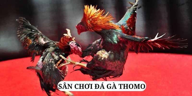 33win33 trực tiếp xổ số miền bắc
